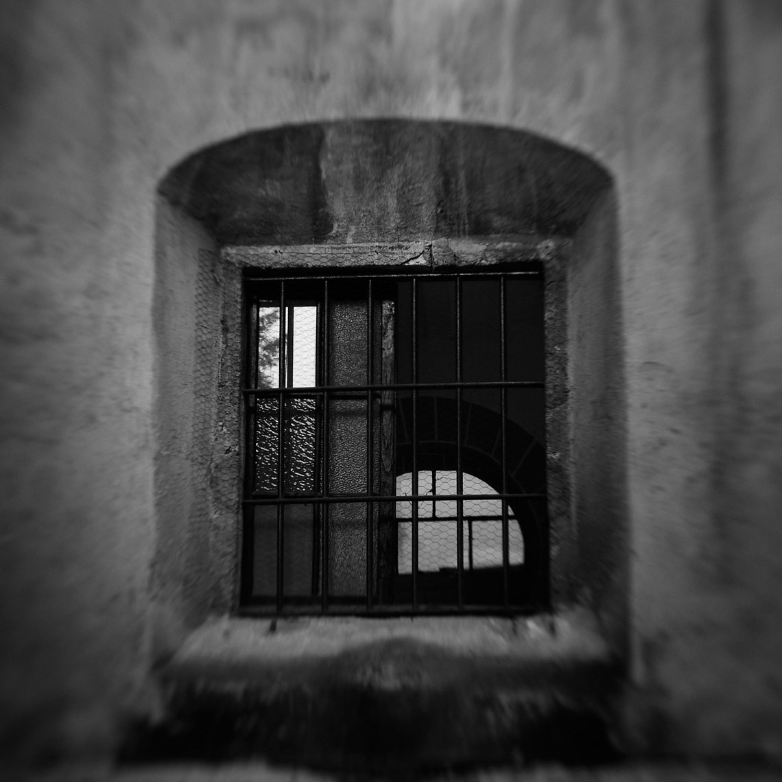 window-DUP.jpg